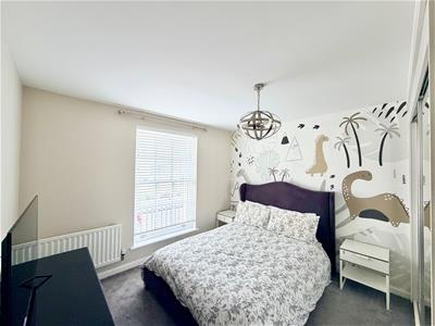Picture 15